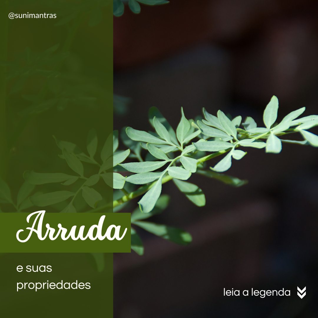 Arruda