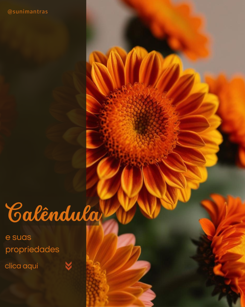 hortela-1080-x-1350-px-2-819x1024 Calêndula